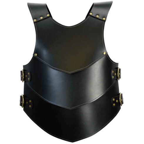 Knightly Leather Armour