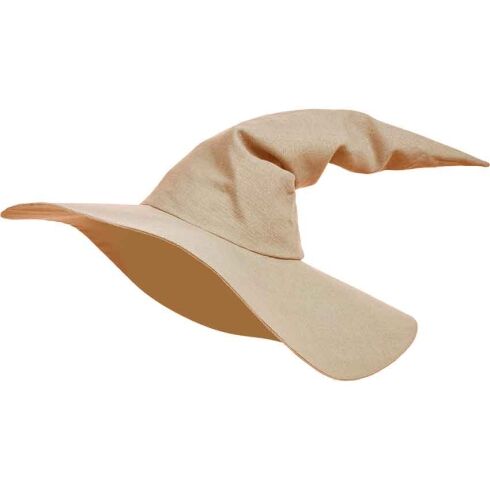 Wizard Hat